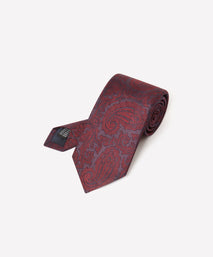 Deep Red & Navy Contrast Paisley Silk Tie